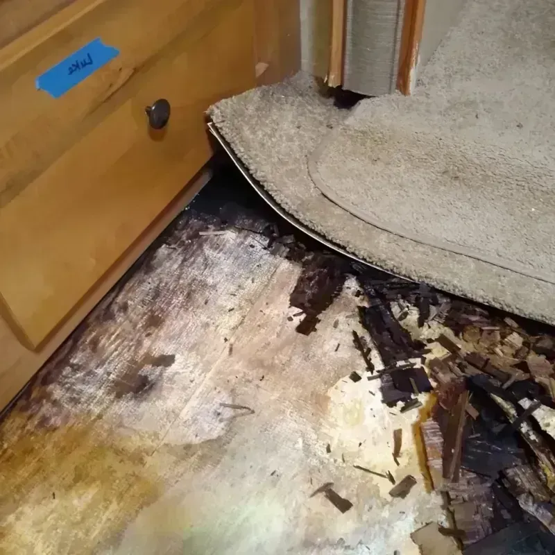 Wood Floor Water Damage in Platte City, MO